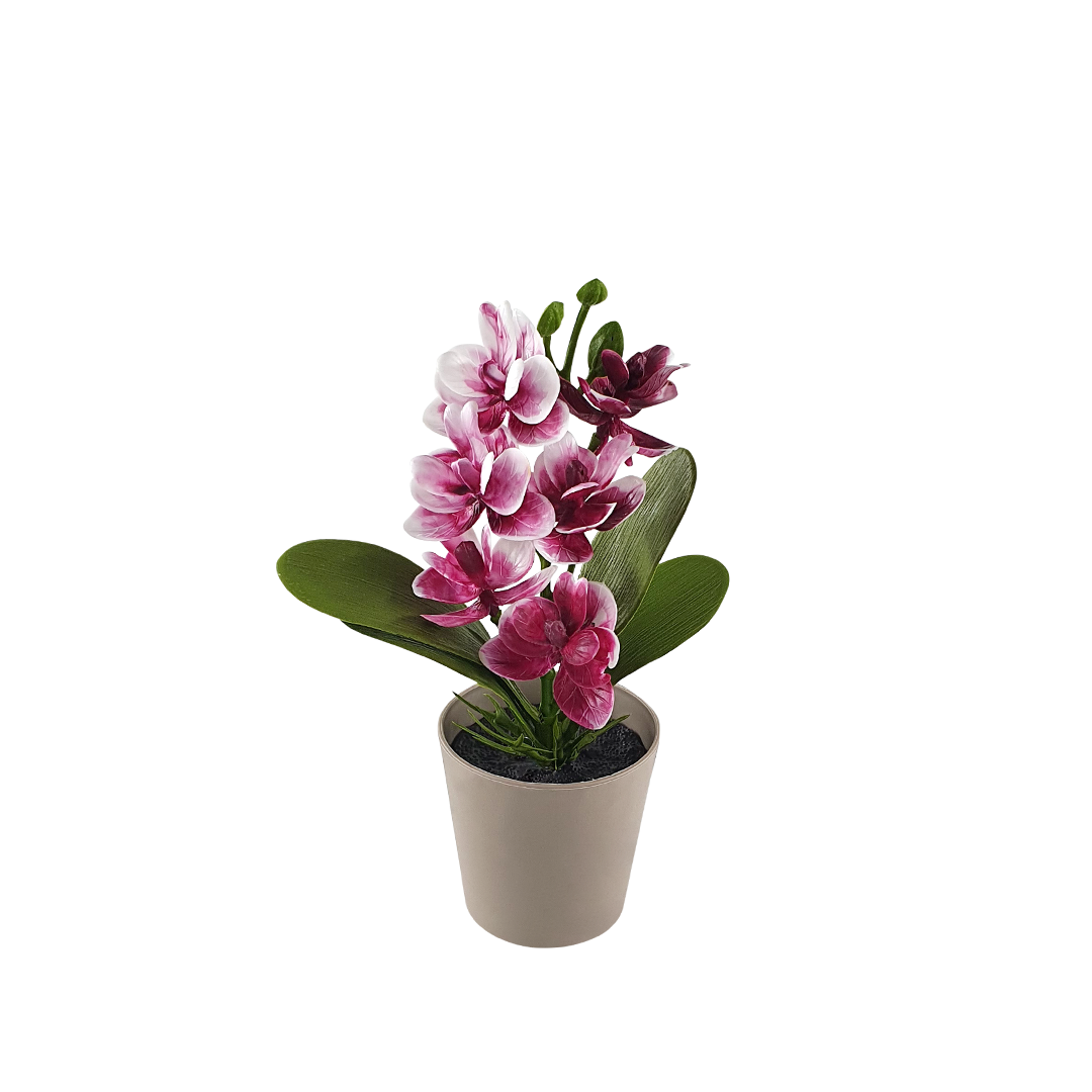 Flori decorative, in vazon orhidee mini 16cm (6792) 1