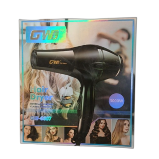 Uscator p/u par 3000W GW-6607