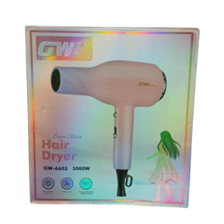 Uscator p/u par 3000W GW-6603