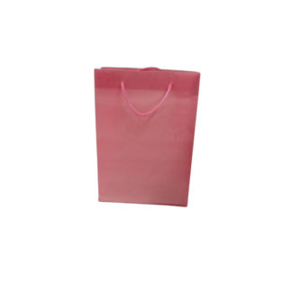 Punga p/u cadou PVC o culoare transparent, cercuri 20*14*7cm