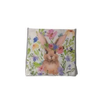 Servetele de hirtie 33*33cm 20buc iepuras in flori