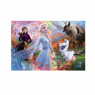 Пазлы Trefl 24эл. MAXI Frozen2 60*40см 3+ 1:1